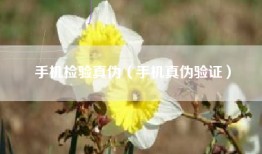 手机检验真伪（手机真伪验证）