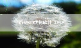 百助SEO优化软件  5.0.0.9