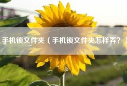手机锁文件夹（手机锁文件夹怎样弄？）