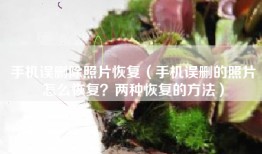 手机误删除照片恢复（手机误删的照片怎么恢复？两种恢复的方法）