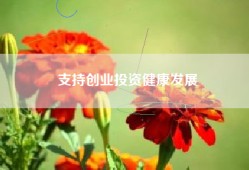 支持创业投资健康发展