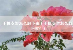 手机支架怎么取下来（手机支架怎么取下来？）