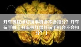 开车等红绿灯玩手机会不会扣分？开车玩手机「开车等红绿灯玩手机会不会扣分？」