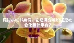 探讨小红书身份，它是媒介组织还是社会化媒体平台？