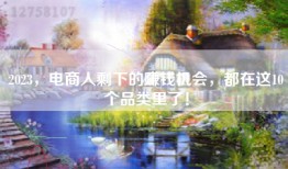 2023，电商人剩下的赚钱机会，都在这10个品类里了！