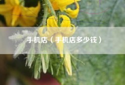 手机店（手机店多少钱）