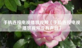 手机连接电视播放视频（手机连接电视播放视频没有声音）