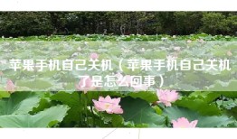 苹果手机自己关机（苹果手机自己关机了是怎么回事）