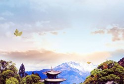 嘉兴到临沧货运专线搬家搬厂2024讲信誉+排名一览