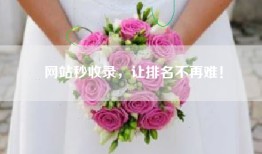网站秒收录，让排名不再难！