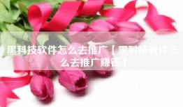 黑科技软件怎么去推广【黑科技软件怎么去推广赚钱】