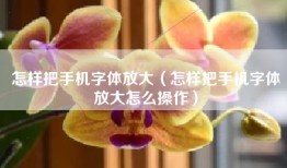 怎样把手机字体放大（怎样把手机字体放大怎么操作）