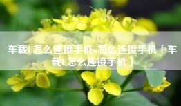 车载U怎么连接手机u怎么连接手机「车载U怎么连接手机」