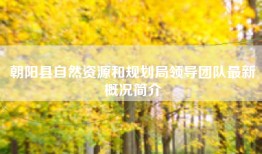 朝阳县自然资源和规划局领导团队最新概况简介