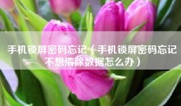 手机锁屏密码忘记（手机锁屏密码忘记不想清除数据怎么办）