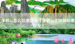手机qq怎么拉黑好友（手机qq上如何拉黑好友）