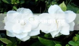 王通：SEO的六种赚钱方式