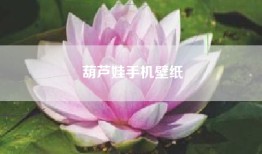 葫芦娃手机壁纸