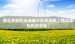 精品录音机安卓版手机录音机「精品录音机安卓版」