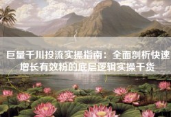 巨量千川投流实操指南：全面剖析快速增长有效粉的底层逻辑实操干货
