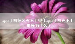 oppo手机怎么充不上电（oppo手机充不上电是为什么）
