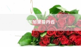 东加里曼丹省