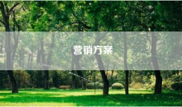营销方案