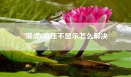 瑞虎8胎压不显示怎么解决