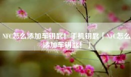 NFC怎么添加车钥匙！手机钥匙「NFC怎么添加车钥匙！」