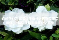 白帽优化和黑帽优化有什么区别呢英语翻译_白帽优化与黑帽优化之区别