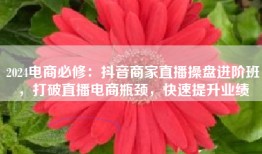 2024电商必修：抖音商家直播操盘进阶班，打破直播电商瓶颈，快速提升业绩