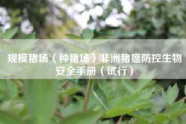 规模猪场(种猪场)非洲猪瘟防控生物安全手册(试行) 规模猪场(种猪场)非洲猪瘟防控生物安全手册(试行)