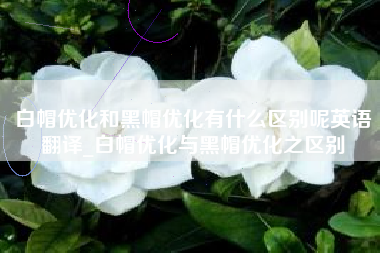 白帽优化和黑帽优化有什么区别呢英语翻译_白帽优化与黑帽优化之区别