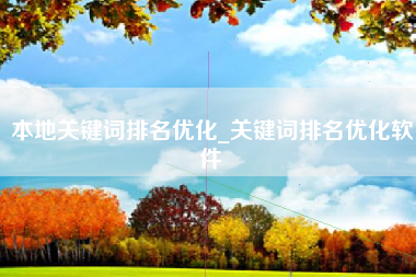 本地关键词排名优化_关键词排名优化软件
