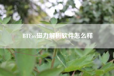 BTFox磁力解析软件怎么样 BTFox磁力解析软件怎么样
