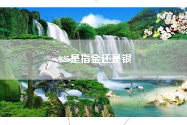 925是指金还是银