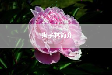 狮子林简介