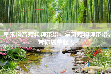 星禾抖音短视频带货，学习短视频带货，带你爆单起飞