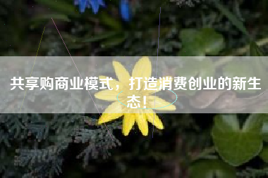 共享购商业模式，打造消费创业的新生态！