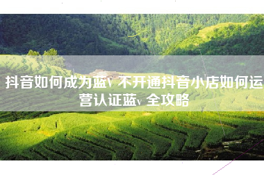 抖音如何成为蓝V 不开通抖音小店如何运营认证蓝v 全攻略