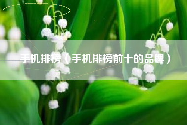 手机排榜（手机排榜前十的品牌）