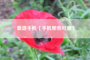 靠谱手机（手机那些可靠）