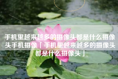 手机里越来越多的摄像头都是什么摄像头手机摄像「手机里越来越多的摄像头都是什么摄像头」