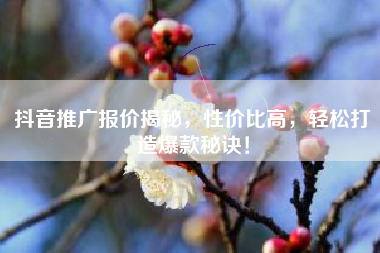 抖音推广报价揭秘，性价比高，轻松打造爆款秘诀！