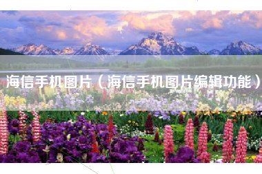 海信手机图片（海信手机图片编辑功能）