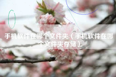 手机软件在哪个文件夹（手机软件在哪个文件夹存储）