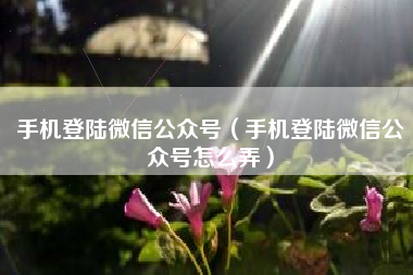 手机登陆微信公众号（手机登陆微信公众号怎么弄）
