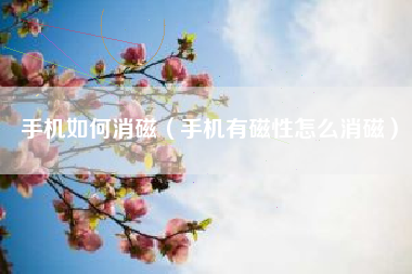 手机如何消磁（手机有磁性怎么消磁）