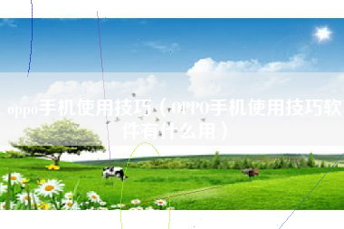 oppo手机使用技巧（OPPO手机使用技巧软件有什么用）