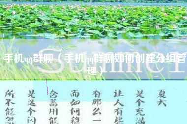 手机qq群聊（手机qq群聊如何创建分组管理）